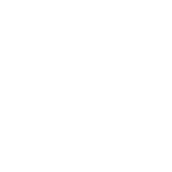 23L-icon