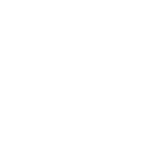 bag-open-icon